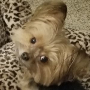 Meet your Posher, Jaime